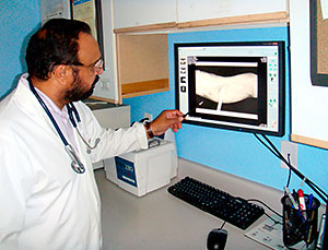 Dr Aulakh Viewing Pet Radiograph