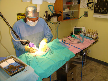 Adobe Animal Hospital Surgeon Performing Laser Surgery