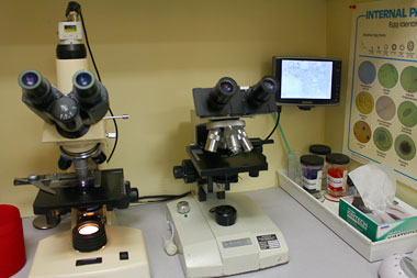 Veterinary Microscope Lab Center