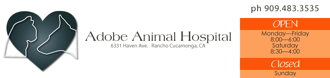 Adobe Animal Hospital, Rancho Cucamonga, CA open Monday through Friday 8 AM to 6 PM and Saturday 8:30 AM to 4 PM